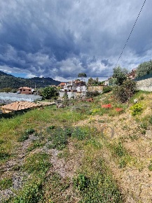 Foto Terreno agricolo in Via Turistica 172, Camporosso Centro di 60 m²