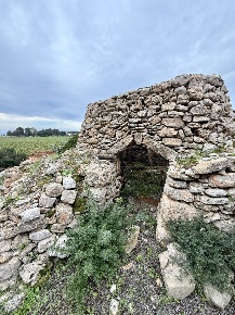 Foto Villa singola in SP286 102, Nardò di 23 m² con 2 locali in vendita