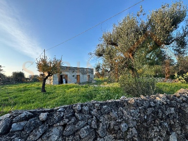 Foto Casa indipendente in C.da Conchia, Monopoli di 70 m² con 3 locali