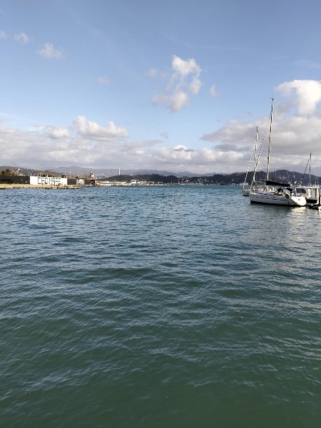 immagine annuncio 5 di 9