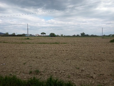 Foto Terreno agricolo a Cascina Semicentro di 7370 m² in vendita