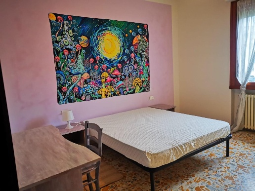 immagine annuncio 3 di 9