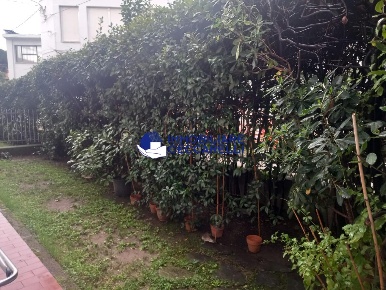 Foto Appartamento a Massa Centro di 83 m² con 4 locali in vendita