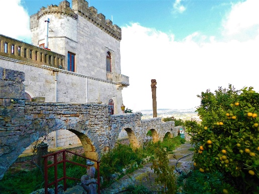 immagine annuncio 1 di 12