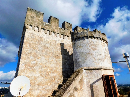 immagine annuncio 11 di 12