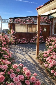 Foto Attico a Empoli Masini - XX Settembre di 143 m² con 6 locali