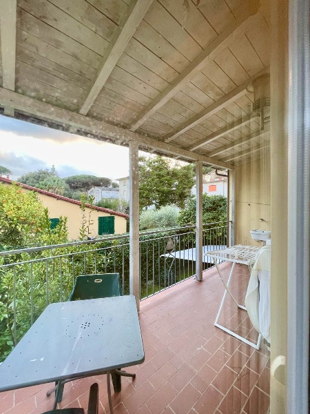 immagine annuncio 2 di 14