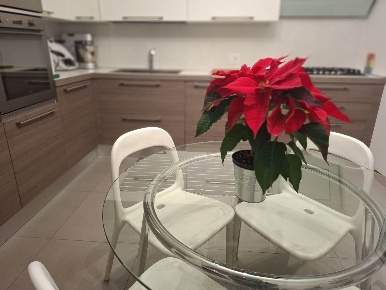 Foto Villa bifamiliare a Povegliano di 200 m² con 11 locali in vendita