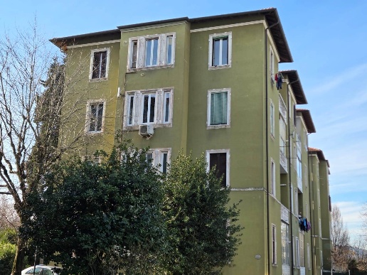 immagine annuncio 9 di 14