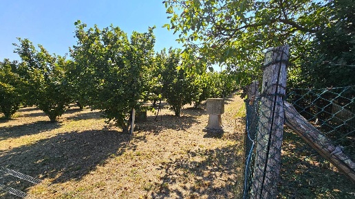 immagine annuncio 7 di 9