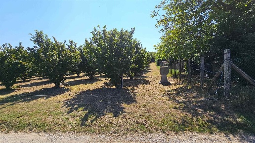 immagine annuncio 8 di 9