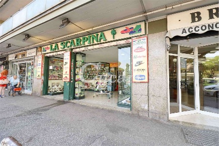 Foto Negozio in Viale Paolo Ferdinando Quaglia, Roma Borghesiana di 110 m²