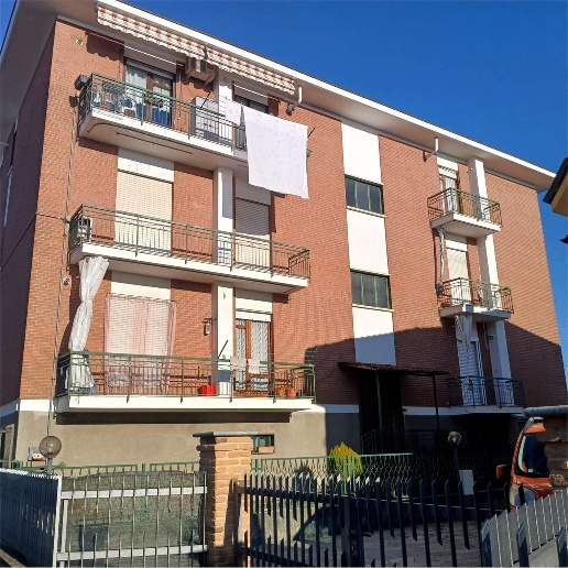 immagine annuncio 1 di 14