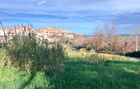 Foto Terreno edificabile a Torino di Sangro di 740 m² in vendita