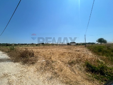 Foto Terreno agricolo a Pachino di 5000 m² in vendita