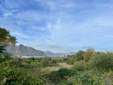 Foto Terreno agricolo in Via Giardini della Fawara, Palermo Ciaculli