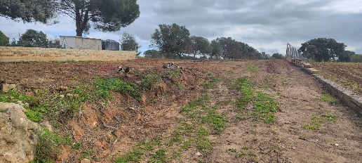 Foto Terreno agricolo in C.DA COSTABAIRA, Caltagirone di 5280 m² in vendita