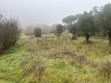 Foto Terreno residenziale in del torrente, Magione di 2400 m² in vendita