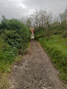 Foto Terreno agricolo a Benevento San Vito di 7000 m² in vendita