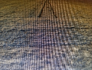 Foto Terreno agricolo a Sant'Elpidio a Mare in vendita