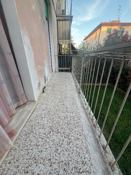 immagine annuncio 3 di 14