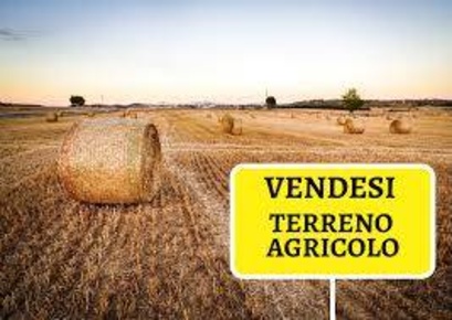 Foto Terreno agricolo a Campi Bisenzio Sant'Angelo, Vingone di 10000 m²