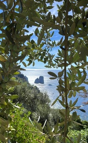 Foto Rustico a Capri Centro di 250 m² con 7 locali in vendita