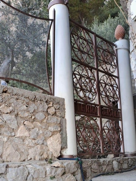 immagine annuncio 3 di 12