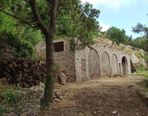 immagine annuncio 6 di 12