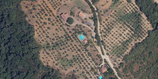 Foto Rustico a Scansano di 300 m² con 11 locali in vendita