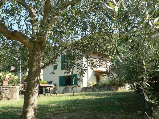 immagine annuncio 4 di 9