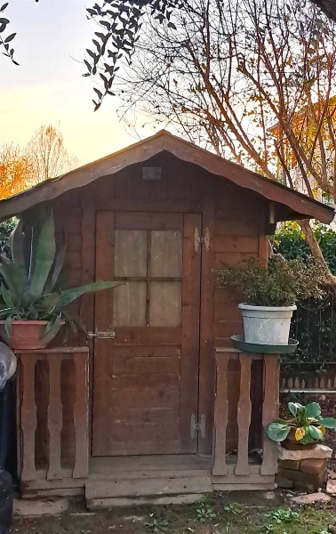 immagine annuncio 11 di 15