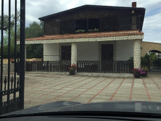 immagine annuncio 9 di 14