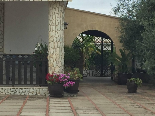 immagine annuncio 10 di 14