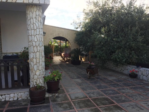 immagine annuncio 11 di 14