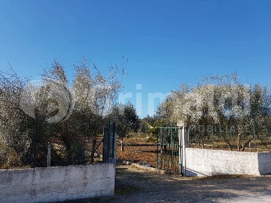 Foto Terreno agricolo in Contrada "Monaci di Sotto" 1, Parabita di 5920 m²