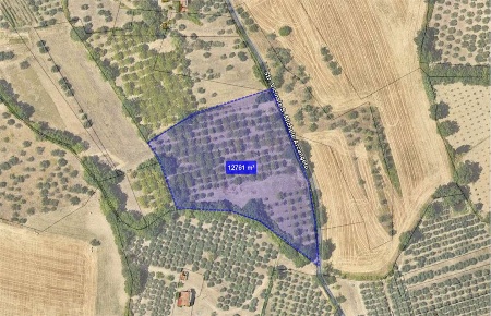 Foto Terreno agricolo a Perugia di 12700 m² in vendita