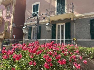 Foto Appartamento in Viale Hanbury, Alassio Borgo Coscia di 90 m²