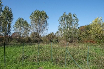 Foto Terreno agricolo a Inzago di 2383 m² in vendita