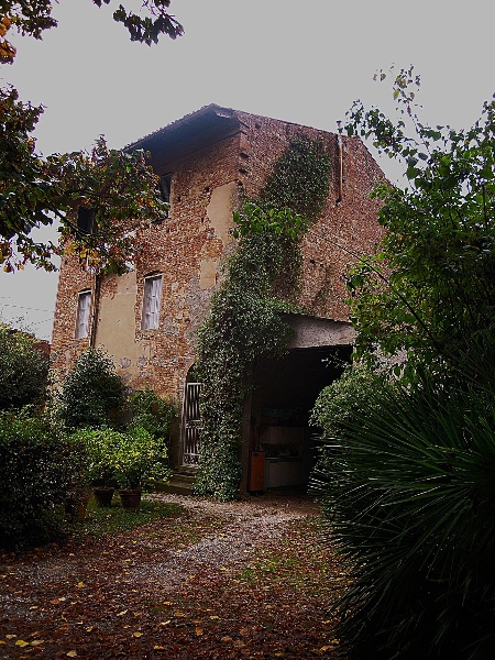 immagine annuncio 4 di 15