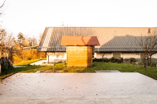 immagine annuncio 7 di 14