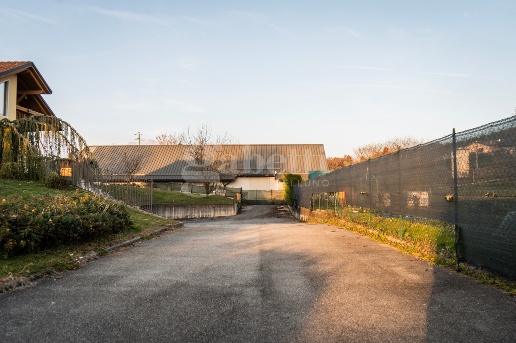 immagine annuncio 13 di 14