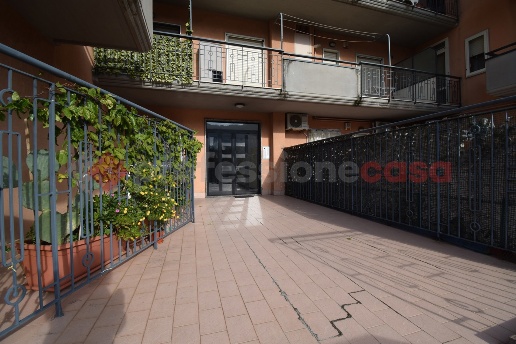 immagine annuncio 0 di 15