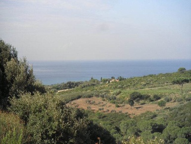 Foto Terreno agricolo in via Serragrande, Rosignano Marittimo di 34000 m²