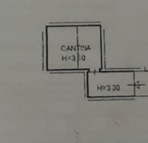 immagine annuncio 10 di 14