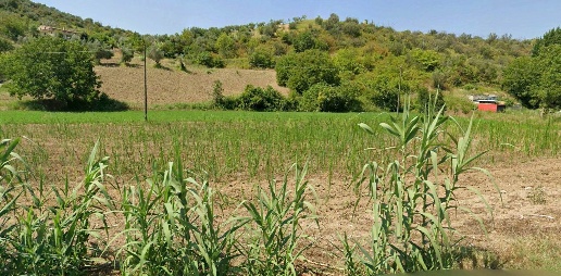Foto Terreno agricolo a Zumpano Padula di 18098 m² in vendita