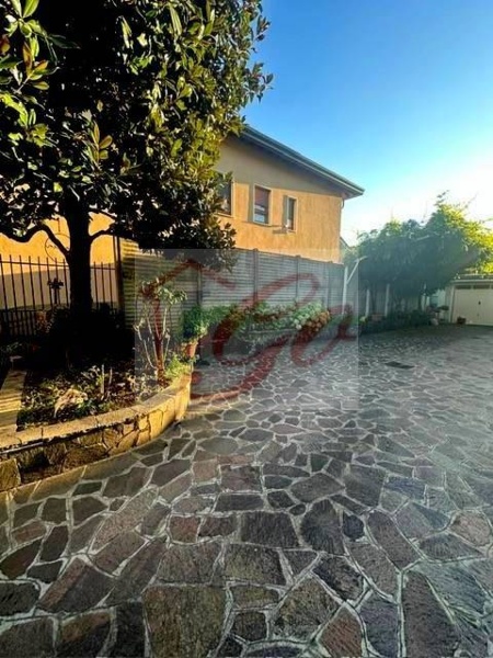 immagine annuncio 11 di 12