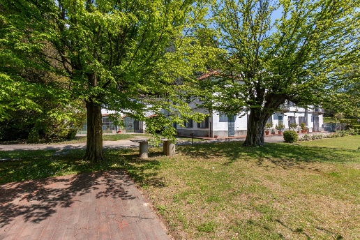 immagine annuncio 5 di 14