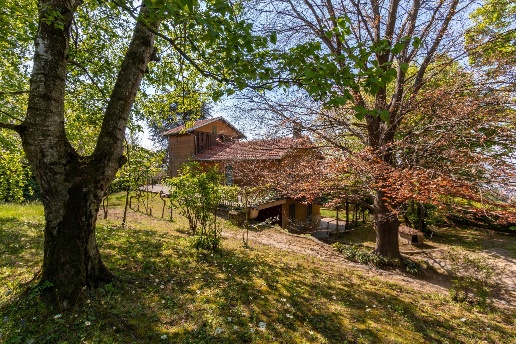 immagine annuncio 7 di 14