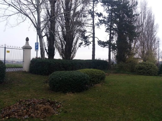 immagine annuncio 13 di 14